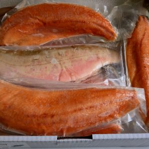 Omble Chevalier (truite sauvage) **Gaspésie**