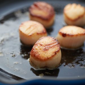 Pétoncle 10+ **Gaspésie**